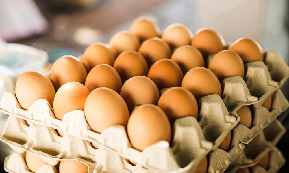 La numeració dels ous: què vol dir i com triar els ous?